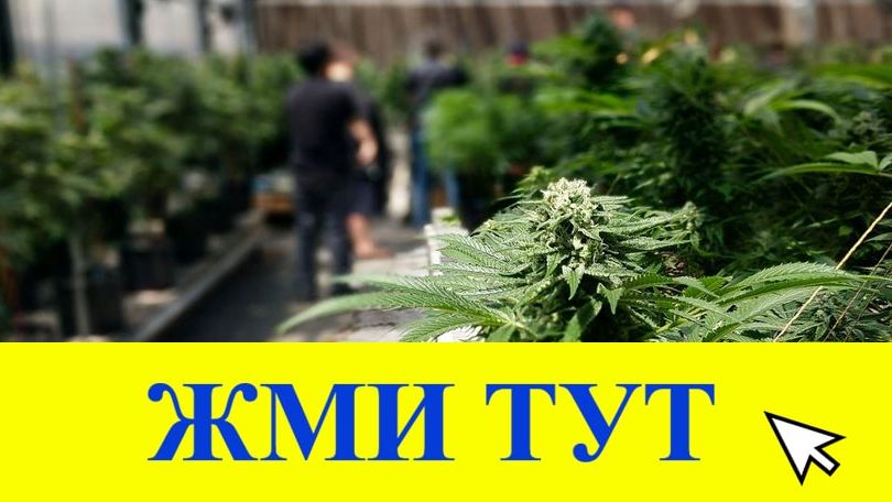 Купить наркотики в Няндоме